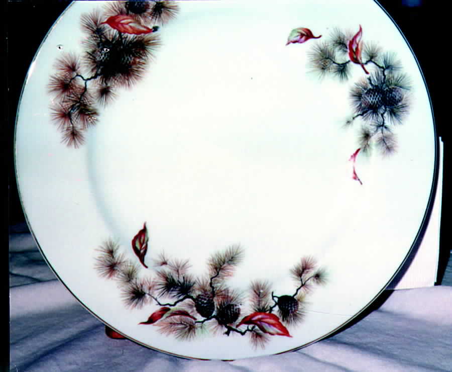 GEC3 Dinner Plate by Gem China-1