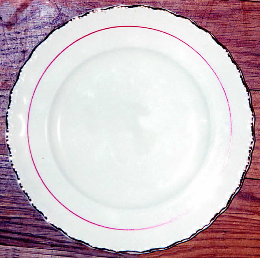 GRI94 Dinner Plate by Grindley-1