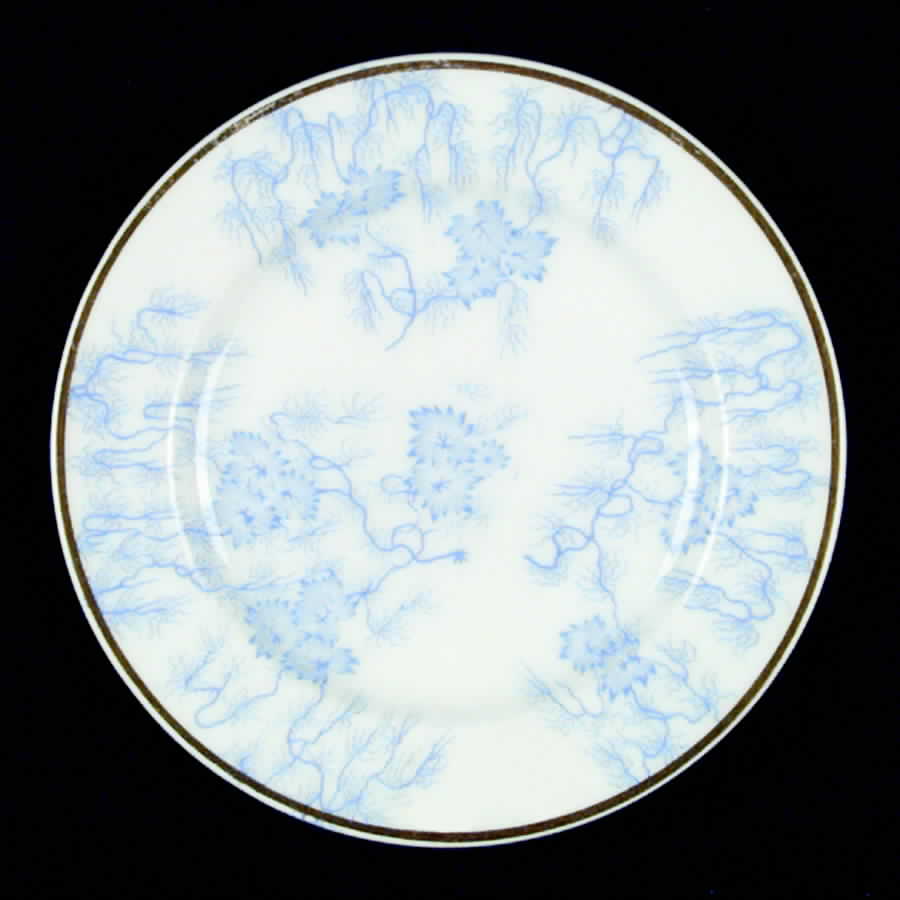 Moss Fibre Bread & Butter Plate by George Grainger & Co-1