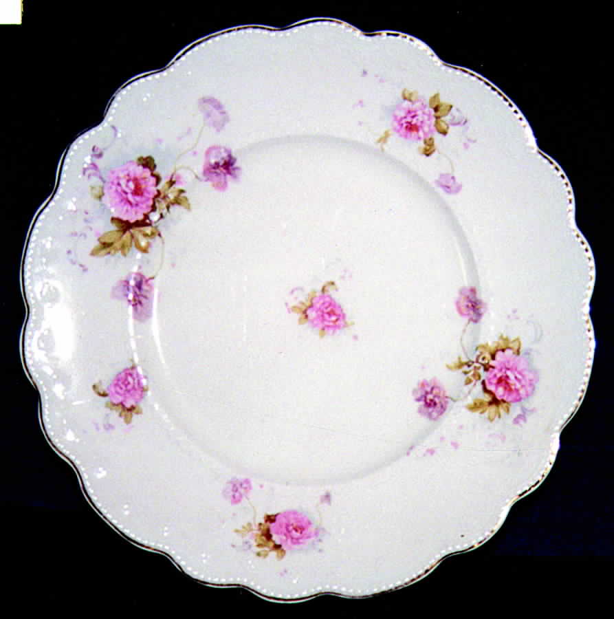 Orion Dinner Plate by Grindley-1