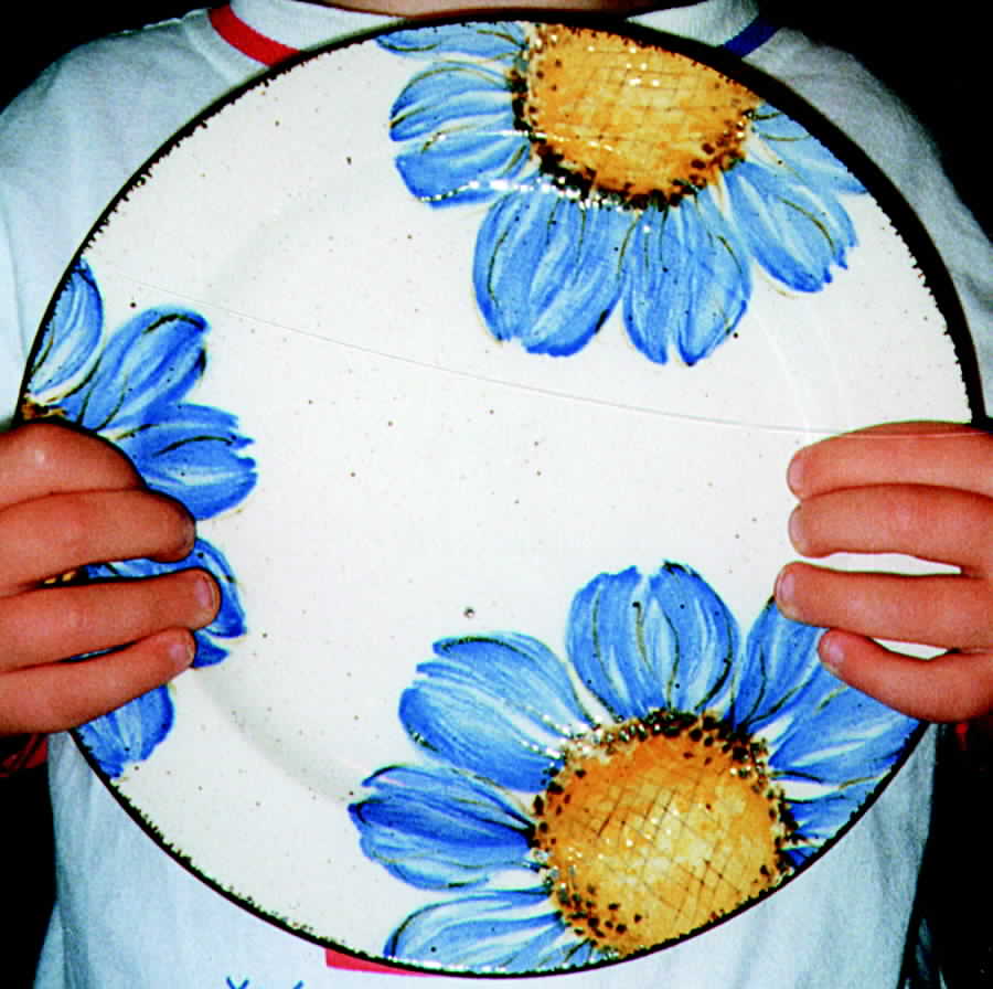 Granfiore Salad Plate by Grindley-1