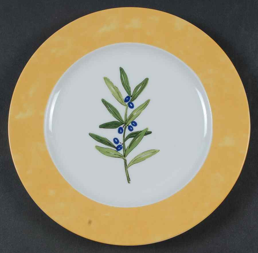 Ouliveiro Salad/Dessert Plate by Guy Degrenne-1