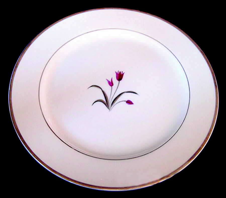 GEC11 Dinner Plate by Gem China-1