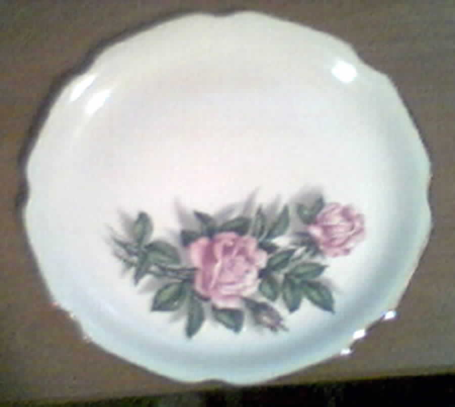 Grg12 Dinner Plate by Georgian China-1