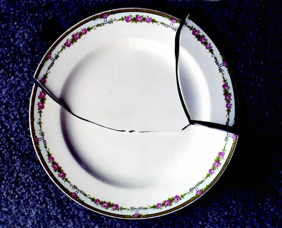 GRI277 Dinner Plate by Grindley-1