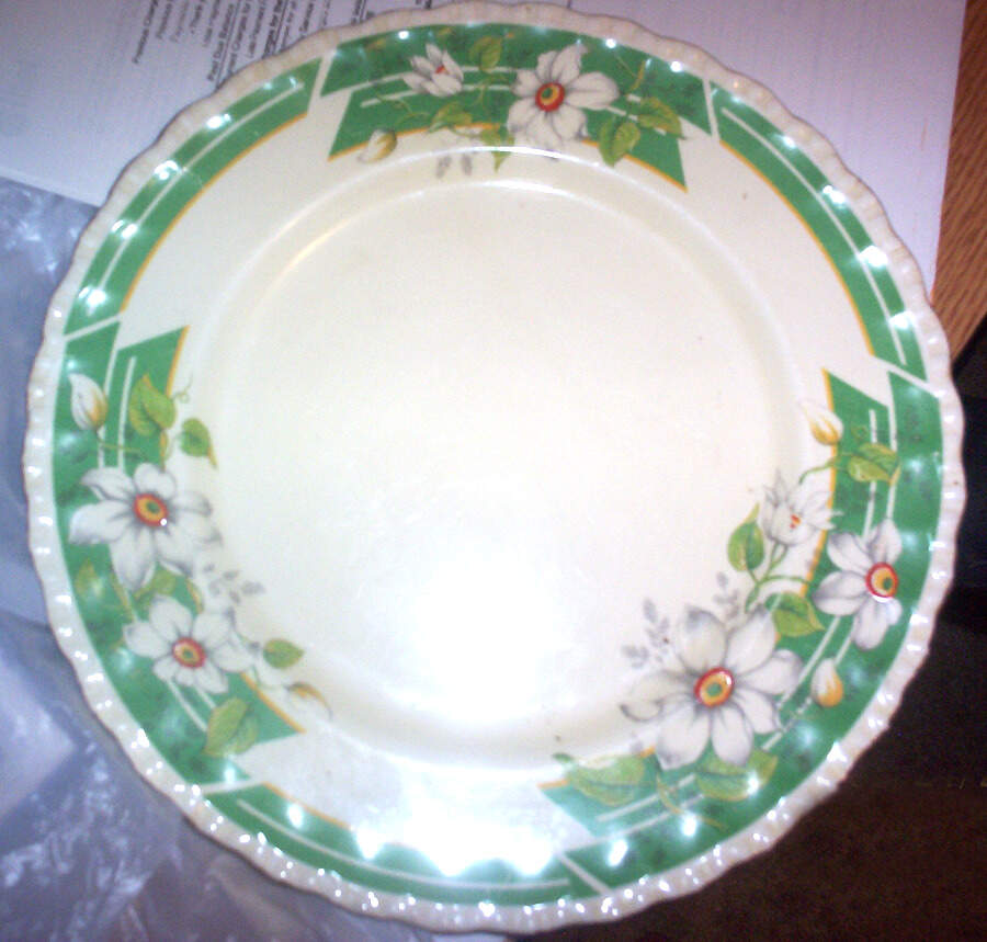 Clematis, The Dinner Plate by Grindley-1