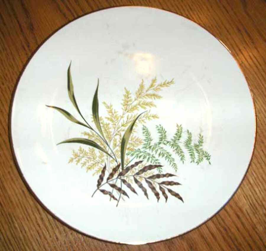 Fernlea Dinner Plate by Georgian China-1