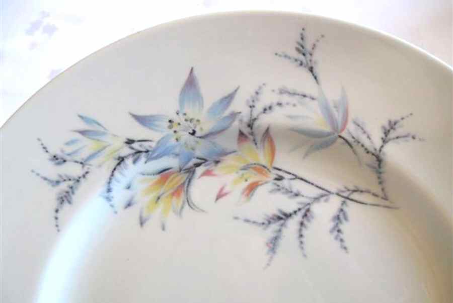 GRI373 Dinner Plate by Grindley-1