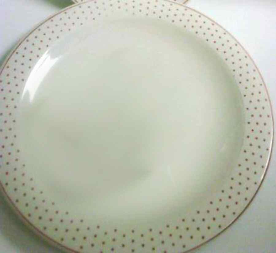 Dots Dinner Plate by Grindley-1