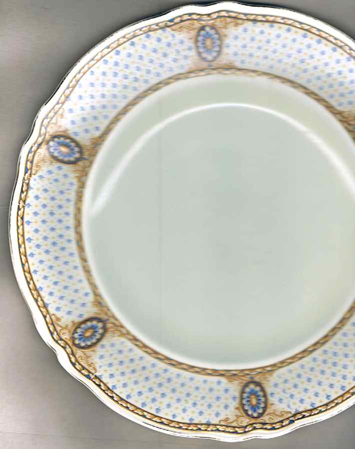 Falkirk Dinner Plate by Grindley-1