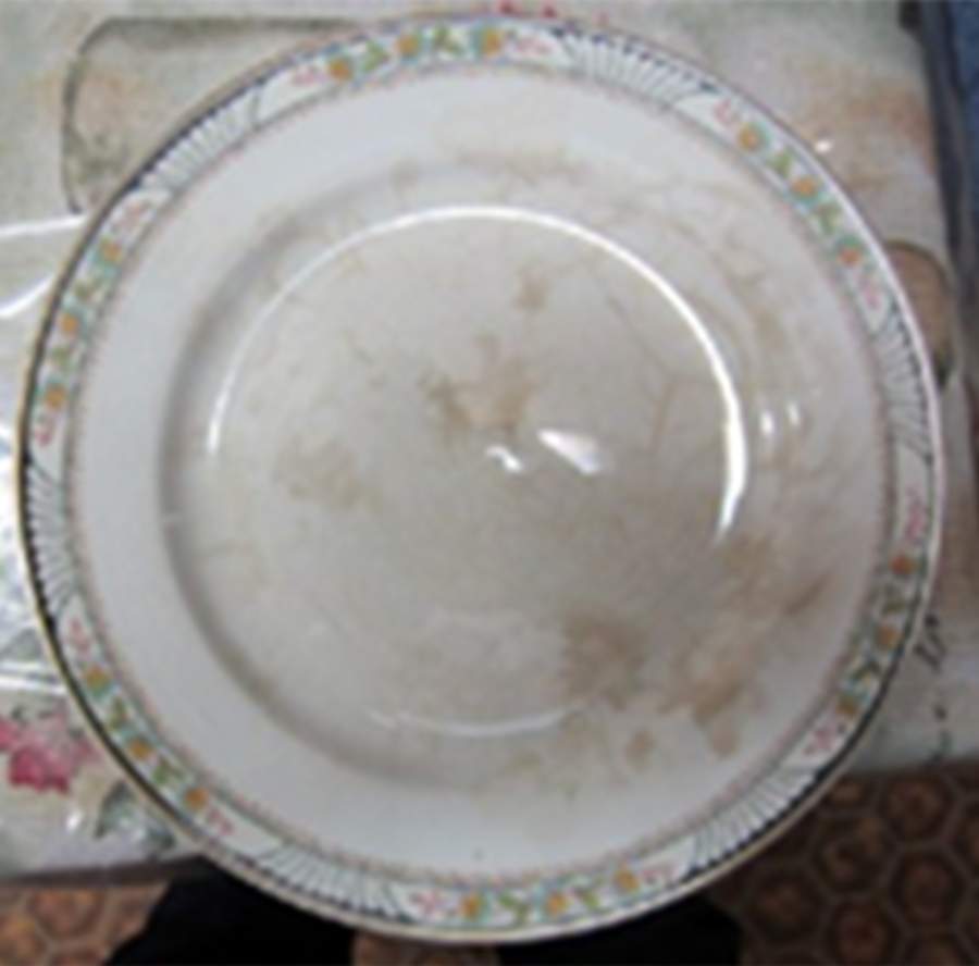 Bertha Dinner Plate by Grindley-1