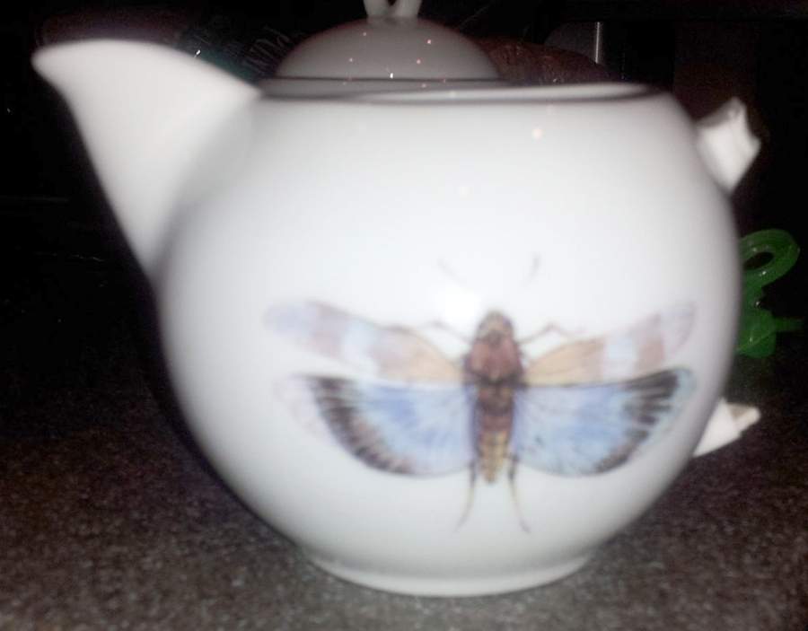 Dragonfly Teapot No Lid by Gilitzer Porzellan-1