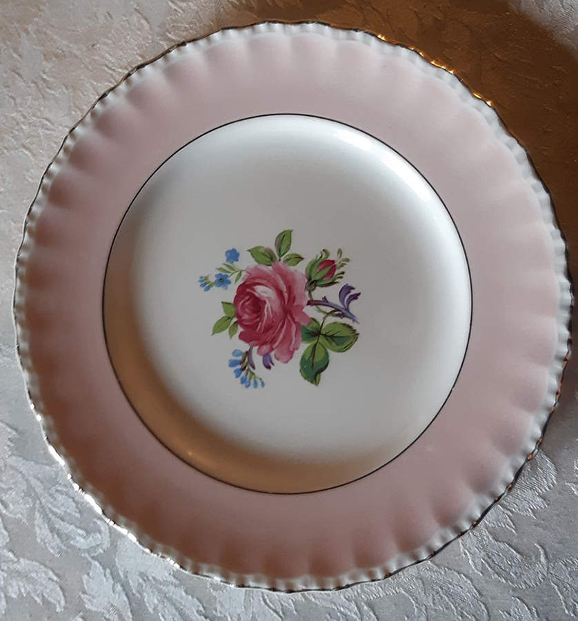 GRI495 Dinner Plate by Grindley-1