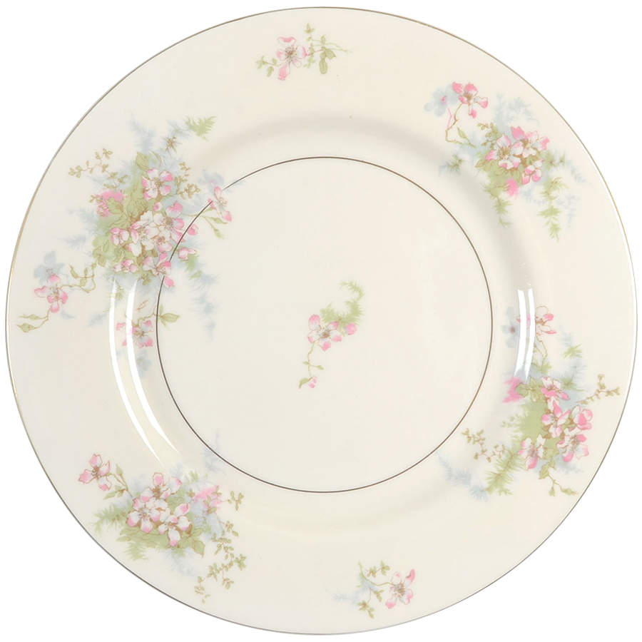 Apple Blossom (New York) Dinner Plate by Haviland-1