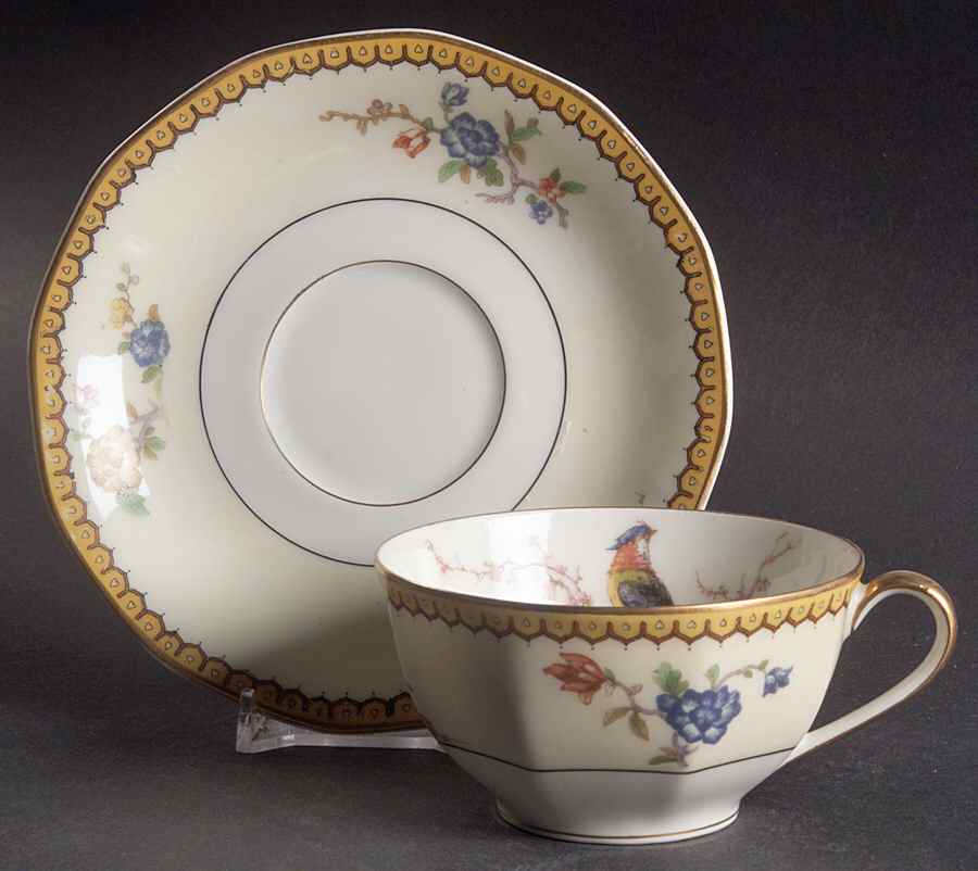 Blois Flat Cup & Saucer Set by Haviland-1