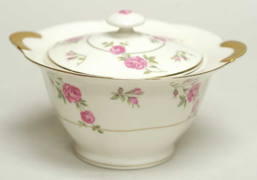 Delaware (New York) Sugar Bowl & Lid by Haviland-1