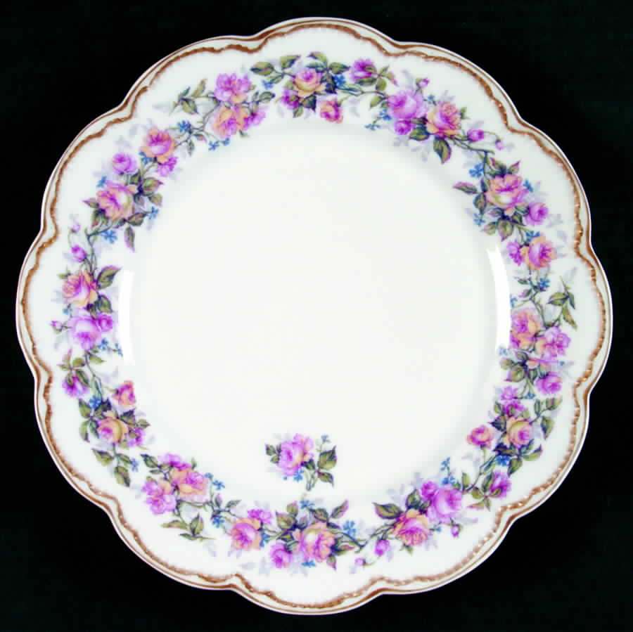 H319 Dinner Plate by Haviland-1