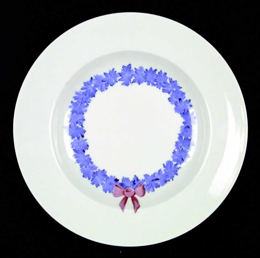H75 Large Rim Soup Bowl by Haviland-1