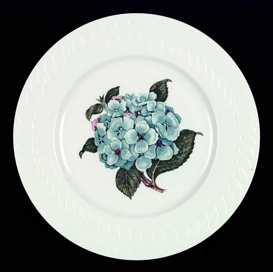 Hydrangea Dinner Plate by Haviland-1