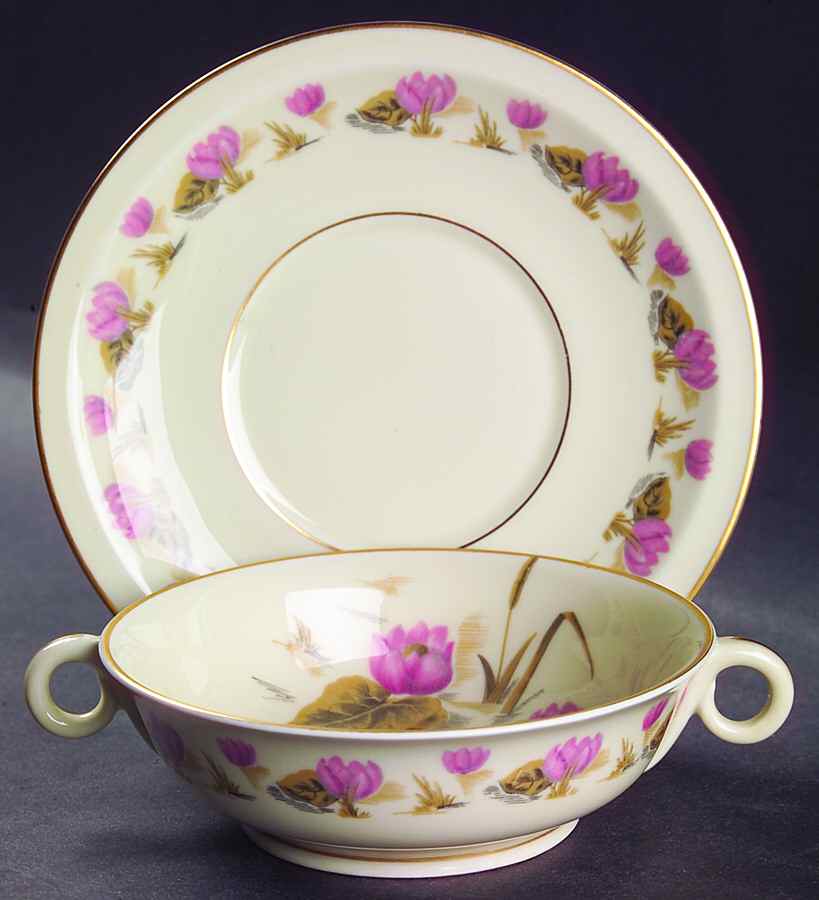 Pond Lily Footed Cream Soup Bowl & Saucer Set by Haviland-1