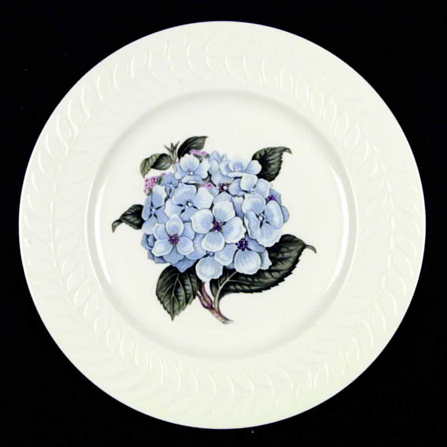 Regents Park Hydrangea Dinner Plate by Haviland-1