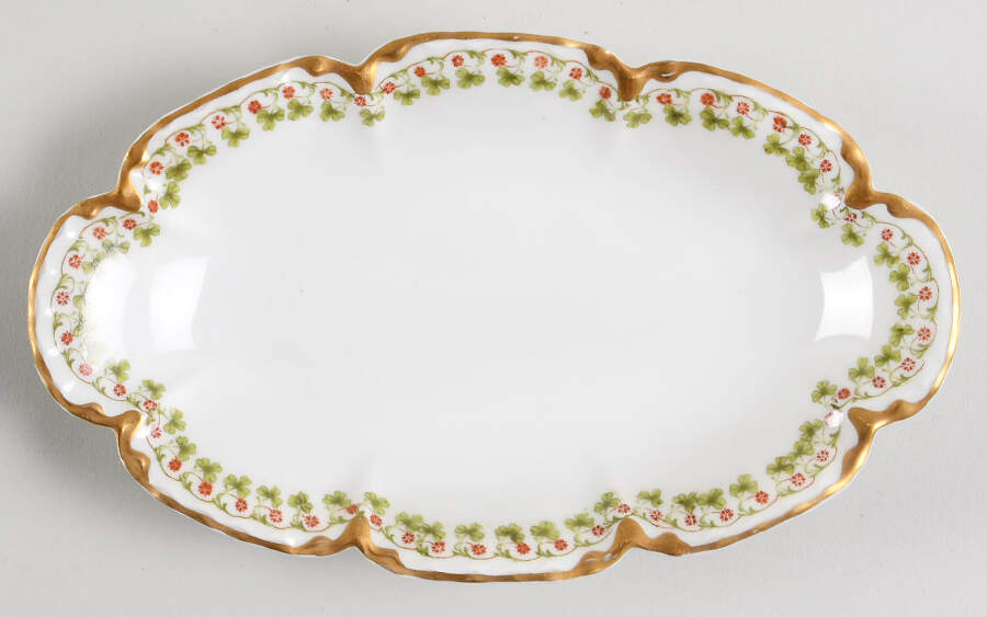 Schleiger 113  Relish by Haviland-1