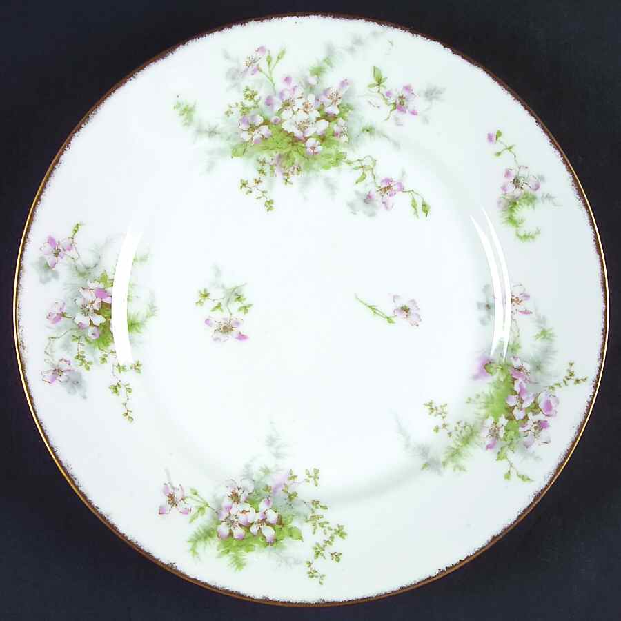 Schleiger 146r Dinner Plate by Haviland-1