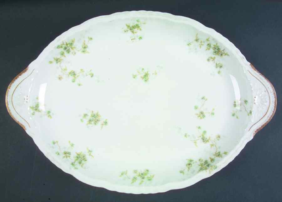 Schleiger 150EZ 16" Oval Serving Platter by Haviland-1