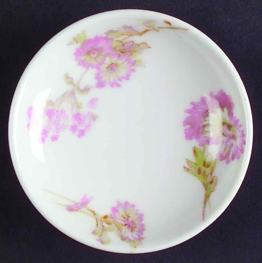 Schleiger 237J Butter Pat by Haviland-1