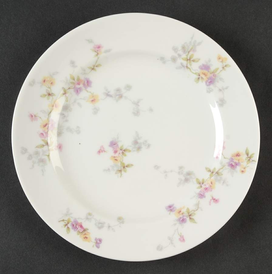 Schleiger 339C Salad Plate by Haviland-1