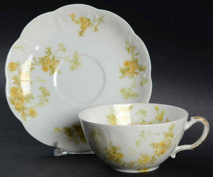Schleiger 42d Footed Cup & Saucer Set by Haviland-1