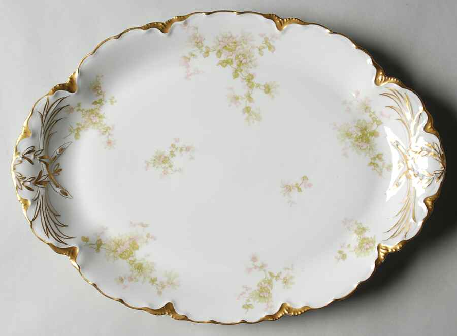 Schleiger 460G 14" Oval Serving Platter by Haviland-1