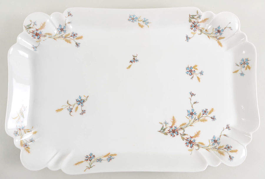 Schleiger 73 18" Oval Serving Platter by Haviland-1