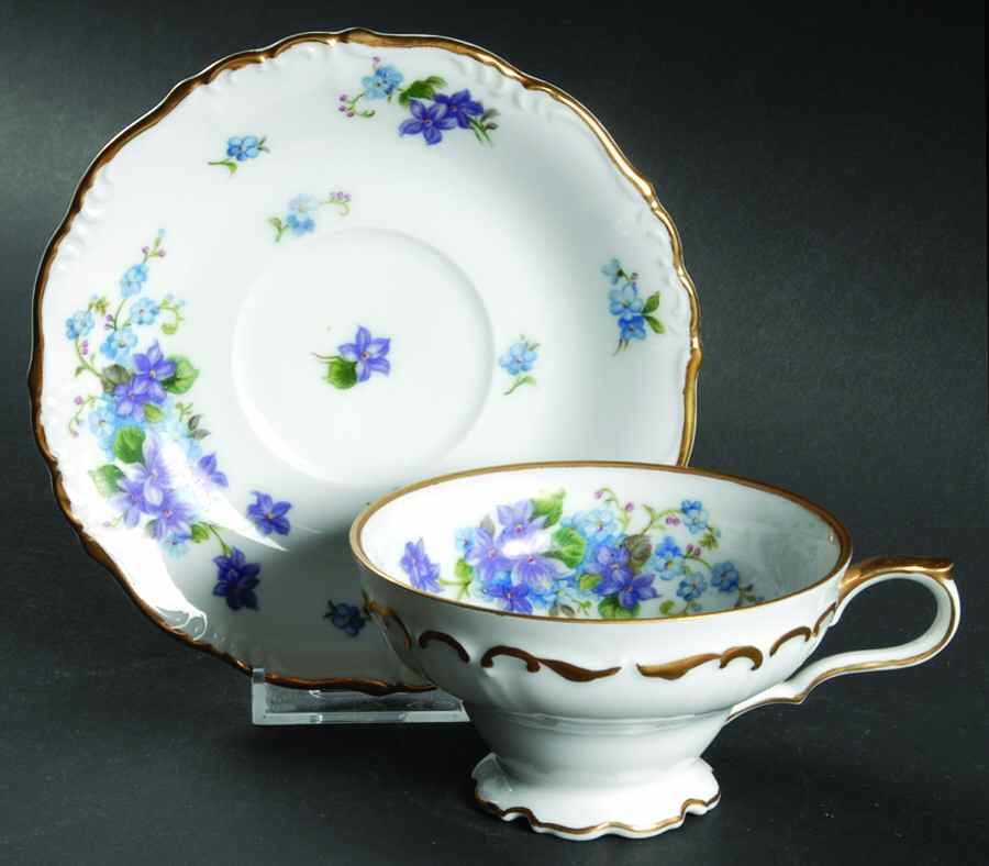 Spring Garden Footed Cup & Saucer Set by Halsey-1