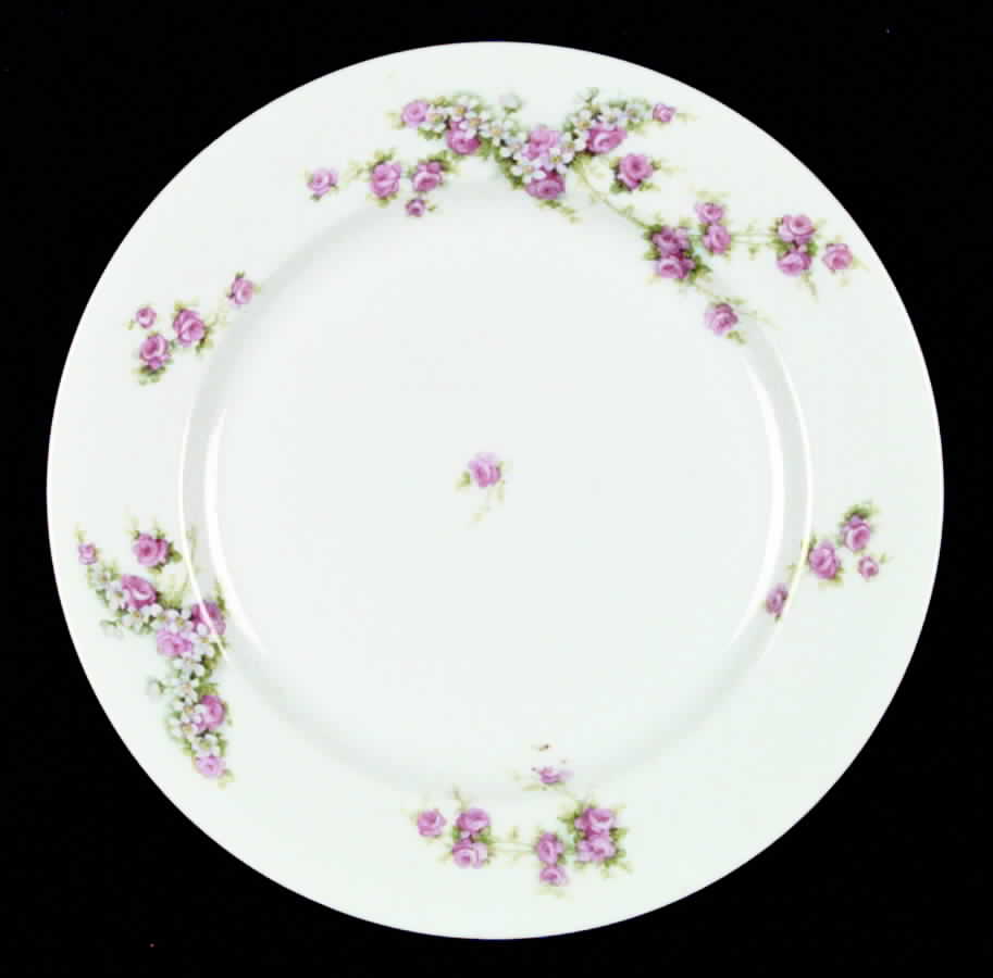 HC429 Dinner Plate by Heinrich - H&C-1