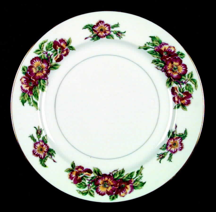 Arizona Rose Dinner Plate by Hira China-1