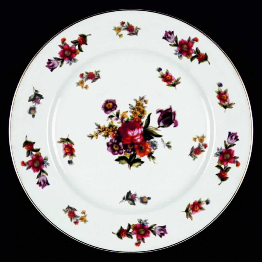 HIR12 Dinner Plate by Hira China-1