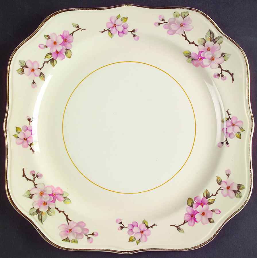 Apple Blossom Square Salad Plate by Homer Laughlin -1