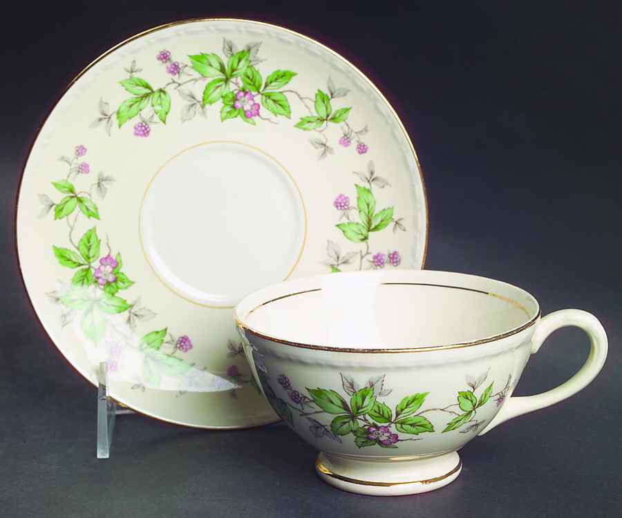 Greenbriar Footed Cup & Saucer Set by Homer Laughlin -1
