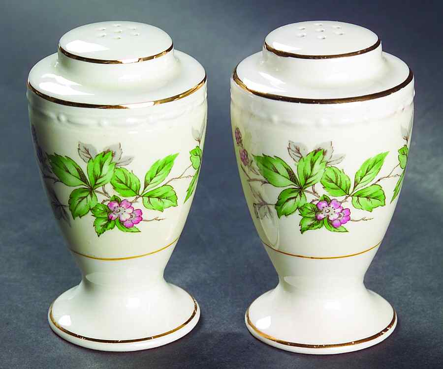 Greenbriar Salt & Pepper Set by Homer Laughlin -1