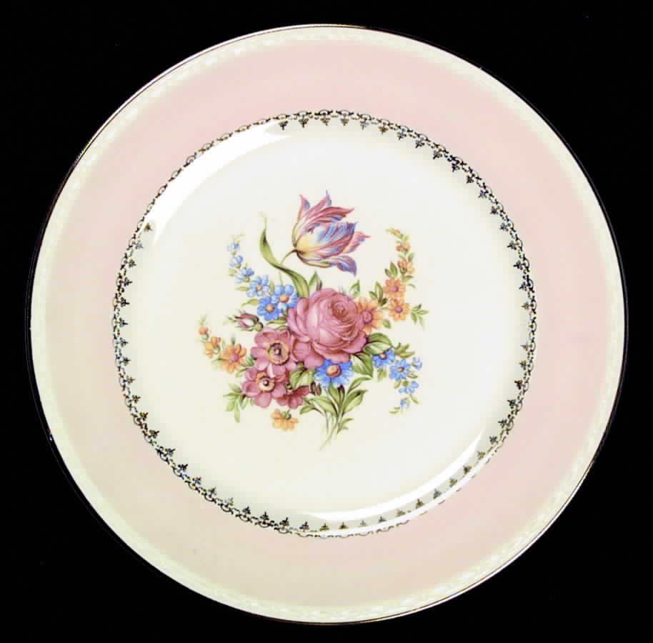 G3438 Dinner Plate by Homer Laughlin -1