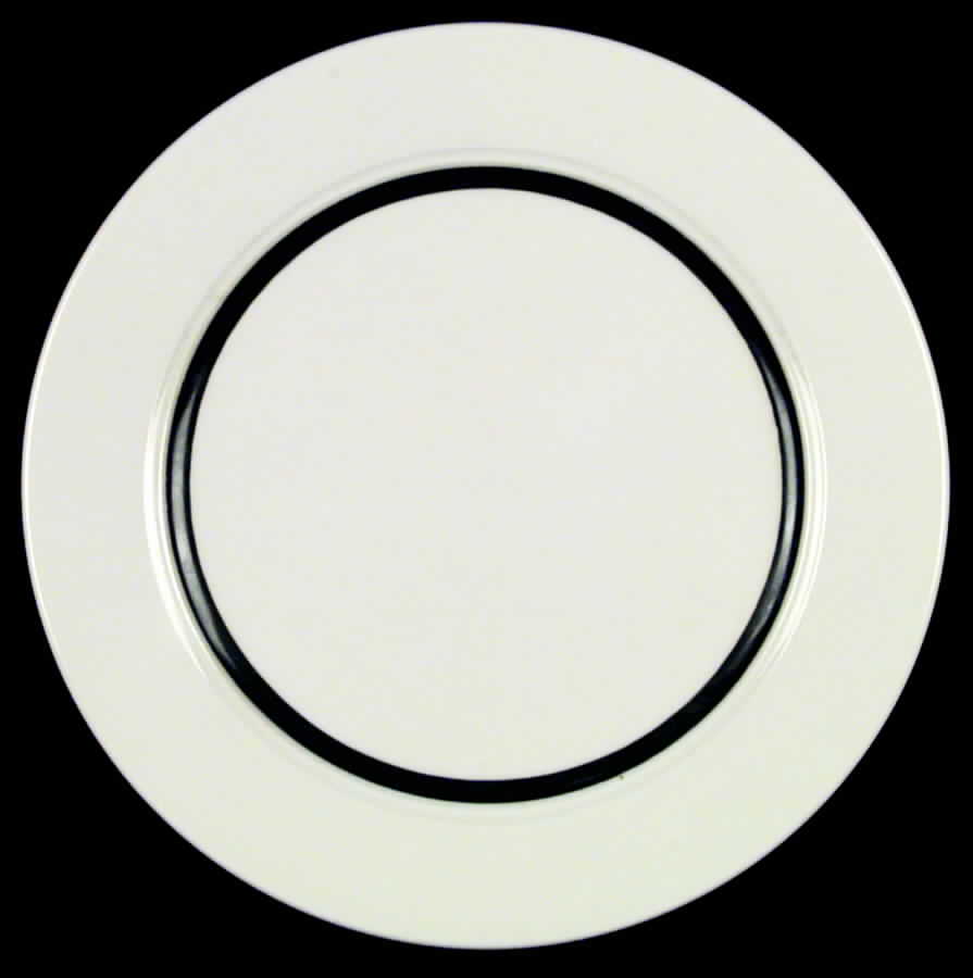 HLC249 Dinner Plate by Homer Laughlin -1