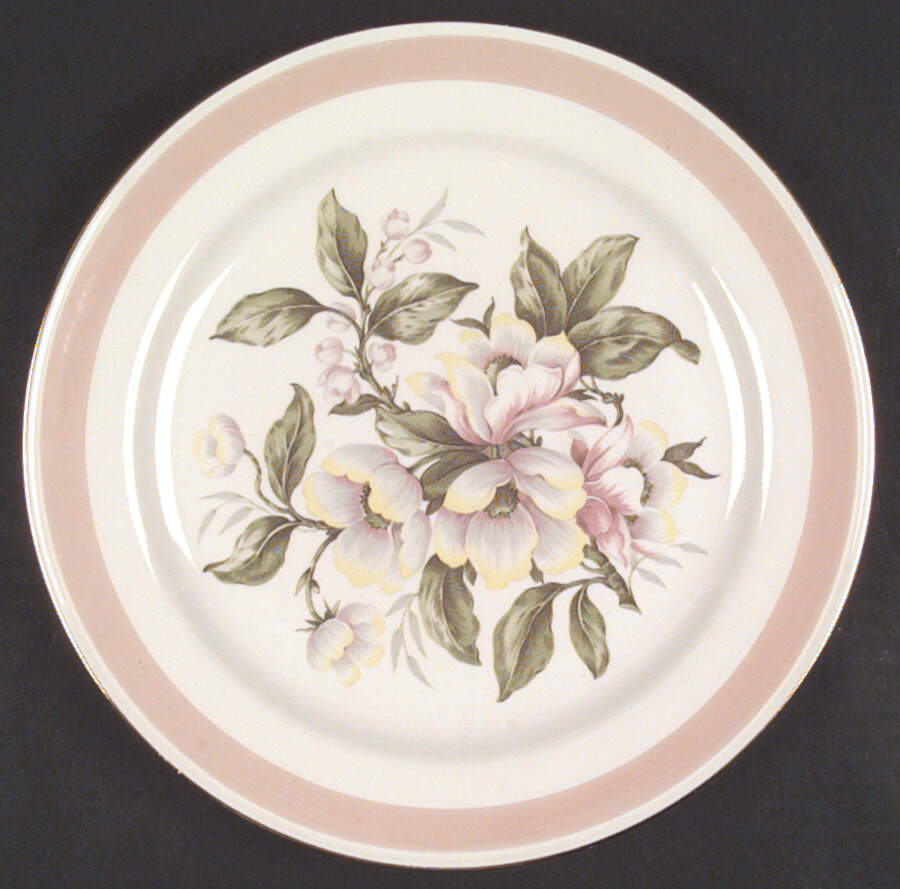 N1769 Dinner Plate by Homer Laughlin -1