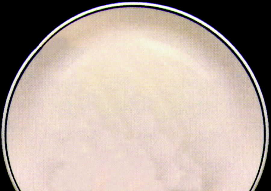 Pewter Dinner Plate by Homer Laughlin -1