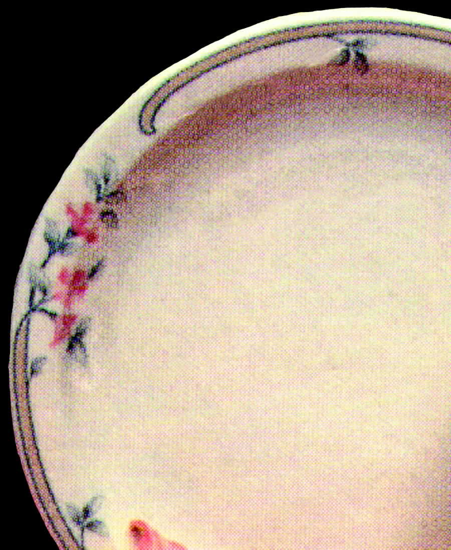 Pink Sage (Narrow Rim) Dinner Plate by Homer Laughlin -1