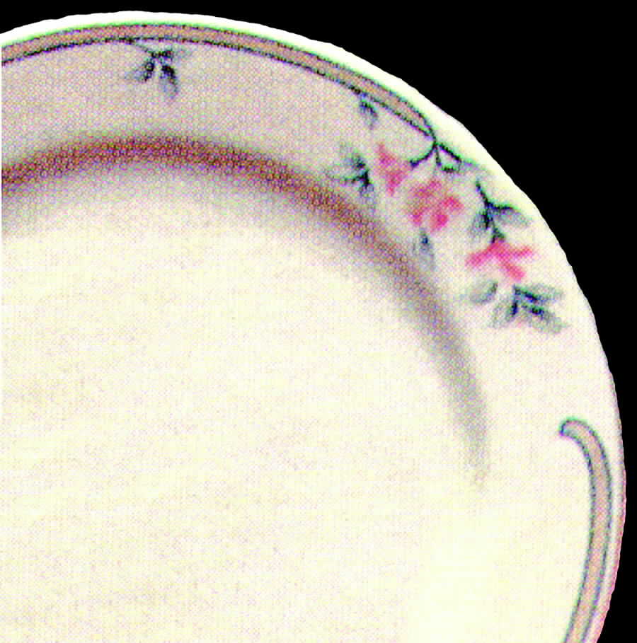Pink Sage (Durathin) Dinner Plate by Homer Laughlin -1