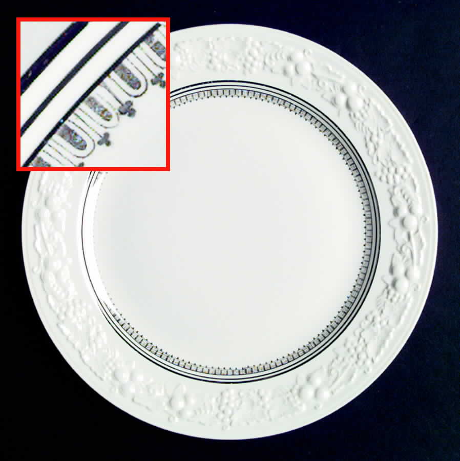 TH14 Platinum Dinner Plate by Homer Laughlin -1