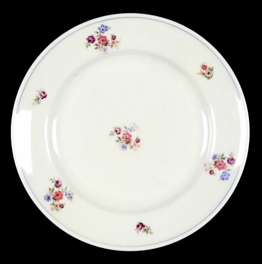 HUT66 Salad Plate by Hutschenreuther-1
