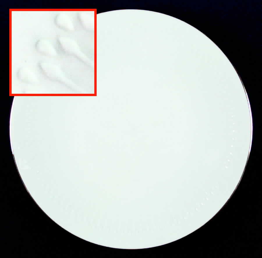 Luxor Gold Dinner Plate by Hutschenreuther-1