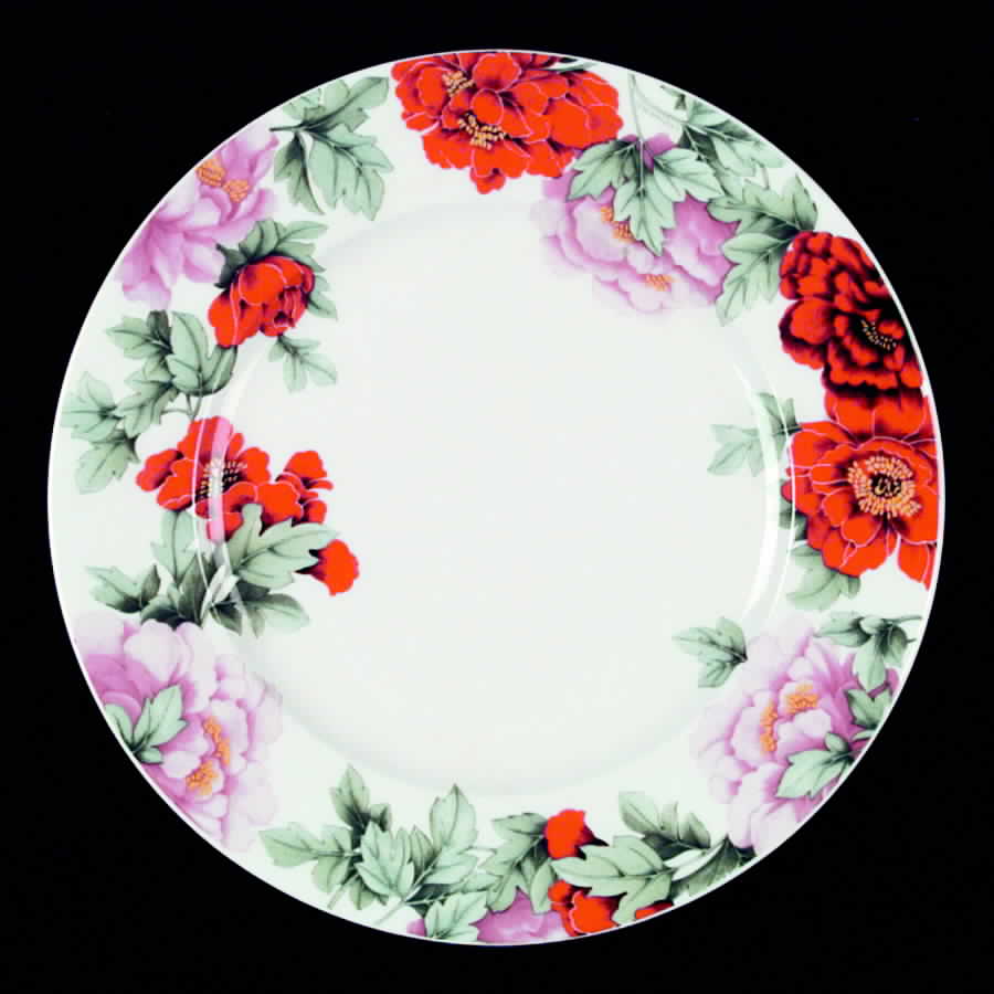 Scarlet Dinner Plate by Hutschenreuther-1